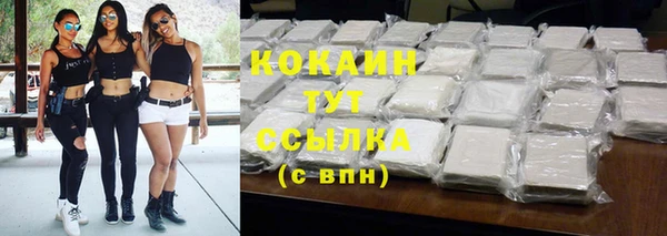 гашик Белоозёрский