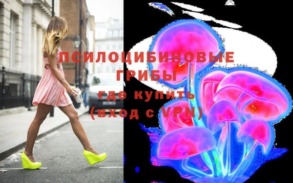 гашик Белоозёрский
